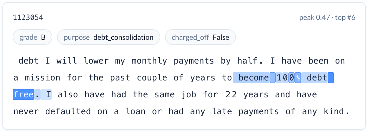 Loan description with 'become 100% debt free' tokens highlighted