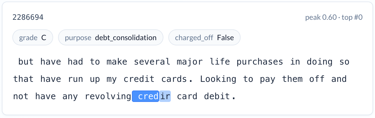 Loan description with the typo 'credir' highlighted